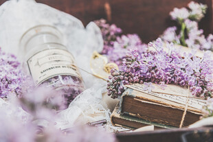 丁香花素材壁纸