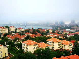 红瓦绿树海边别墅区