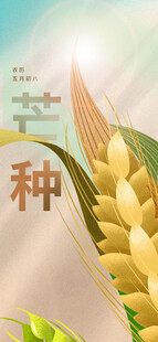 芒种节气宣传海报展板