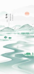 芒种节气宣传海报展板