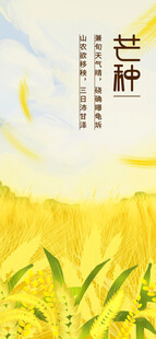芒种节气宣传海报展板