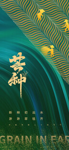 芒种节气宣传海报展板