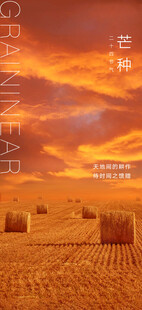 芒种节气宣传海报展板