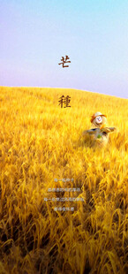 芒种节气宣传海报展板