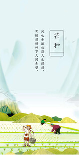 芒种节气宣传海报展板