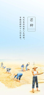 芒种节气宣传海报展板