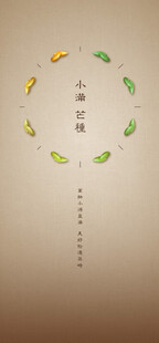 芒种节气宣传海报展板