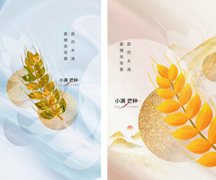 芒种节气宣传海报展板