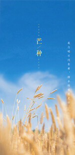 芒种节气宣传海报展板
