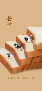 芒种节气宣传海报展板