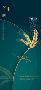 芒种节气宣传海报展板