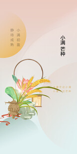 芒种节气宣传海报展板