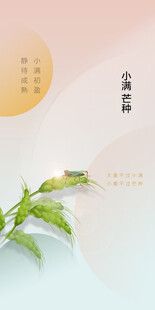 芒种节气宣传海报展板