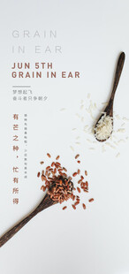 芒种节气宣传海报展板