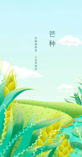 芒种节气宣传海报展板