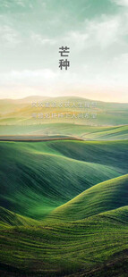 芒种节气宣传海报展板