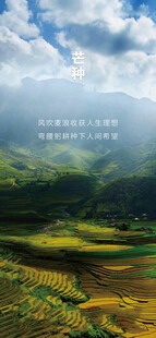 芒种节气宣传海报展板