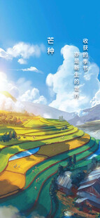 芒种节气宣传海报展板