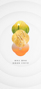 芒种节气宣传海报展板