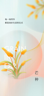 芒种节气宣传海报展板