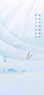 芒种节气宣传海报展板