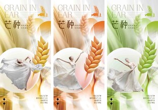 芒种节气宣传海报展板