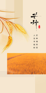 芒种节气宣传海报展板