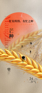 芒种节气宣传海报展板