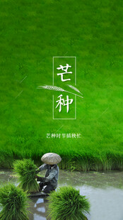 芒种节气宣传海报展板