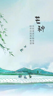 芒种节气宣传海报展板