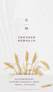 芒种节气宣传海报展板