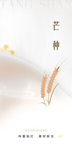 芒种节气宣传海报展板