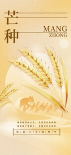 芒种节气宣传海报展板