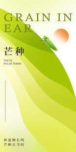 芒种节气宣传海报展板
