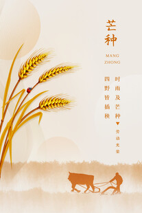 芒种节气宣传海报展板