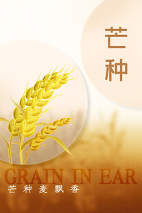 芒种节气宣传海报展板