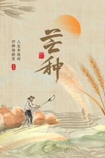 芒种节气宣传海报展板