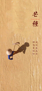 芒种节气宣传海报展板