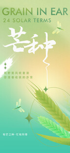 芒种节气宣传海报展板