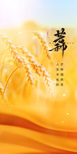 芒种节气宣传海报展板