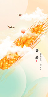 芒种节气宣传海报展板