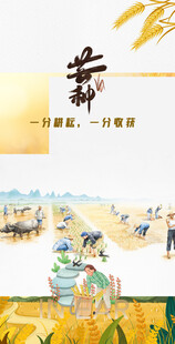 芒种节气宣传海报展板