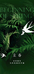 立春节气宣传海报展板