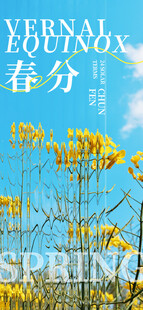 春分节气宣传海报展板