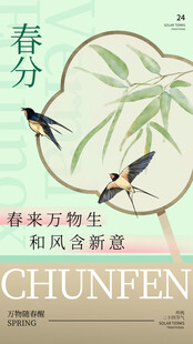 春分节气宣传海报展板
