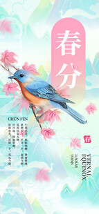 春分节气宣传海报展板