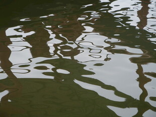 水面倒影