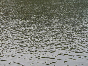 波纹水面