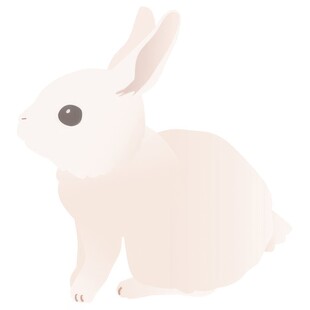 可爱小兔子插画扁平设计纯色背景