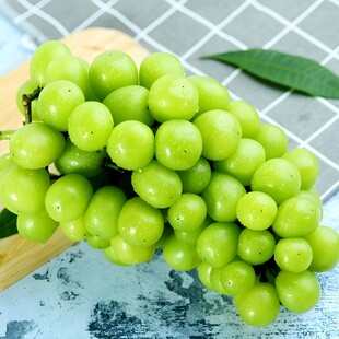葡萄
